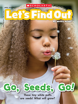 Magazine Issue Cover, Go, Seeds, Go!